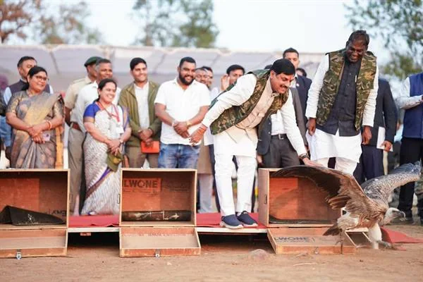 हलाली मंच पर गिद्ध मुक्त करते व्यक्ति का विज्ञप्ति चित्र